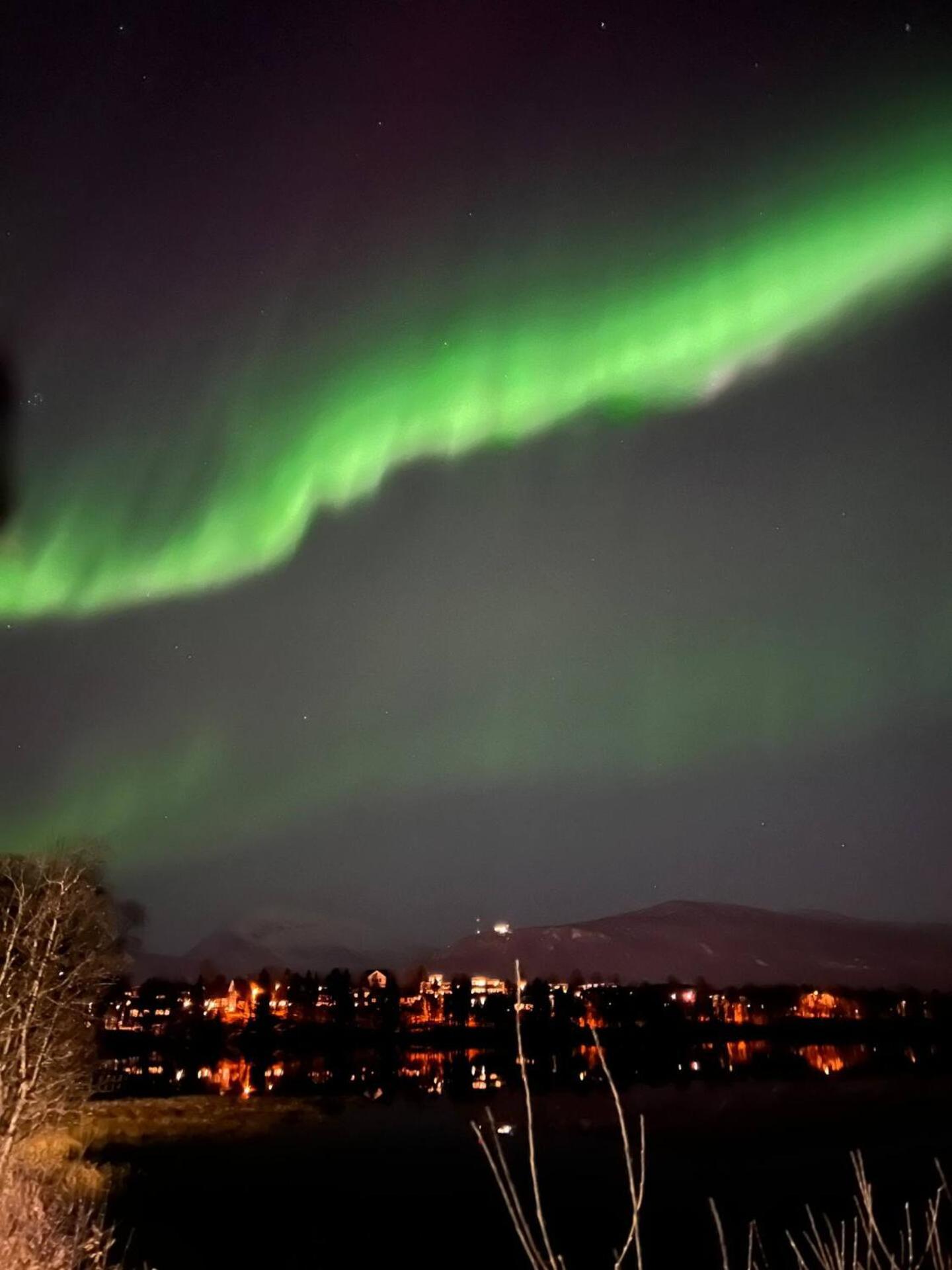Aurora Polaris Apartment - 750M From Citycenter - Free Parking Tromsø Esterno foto