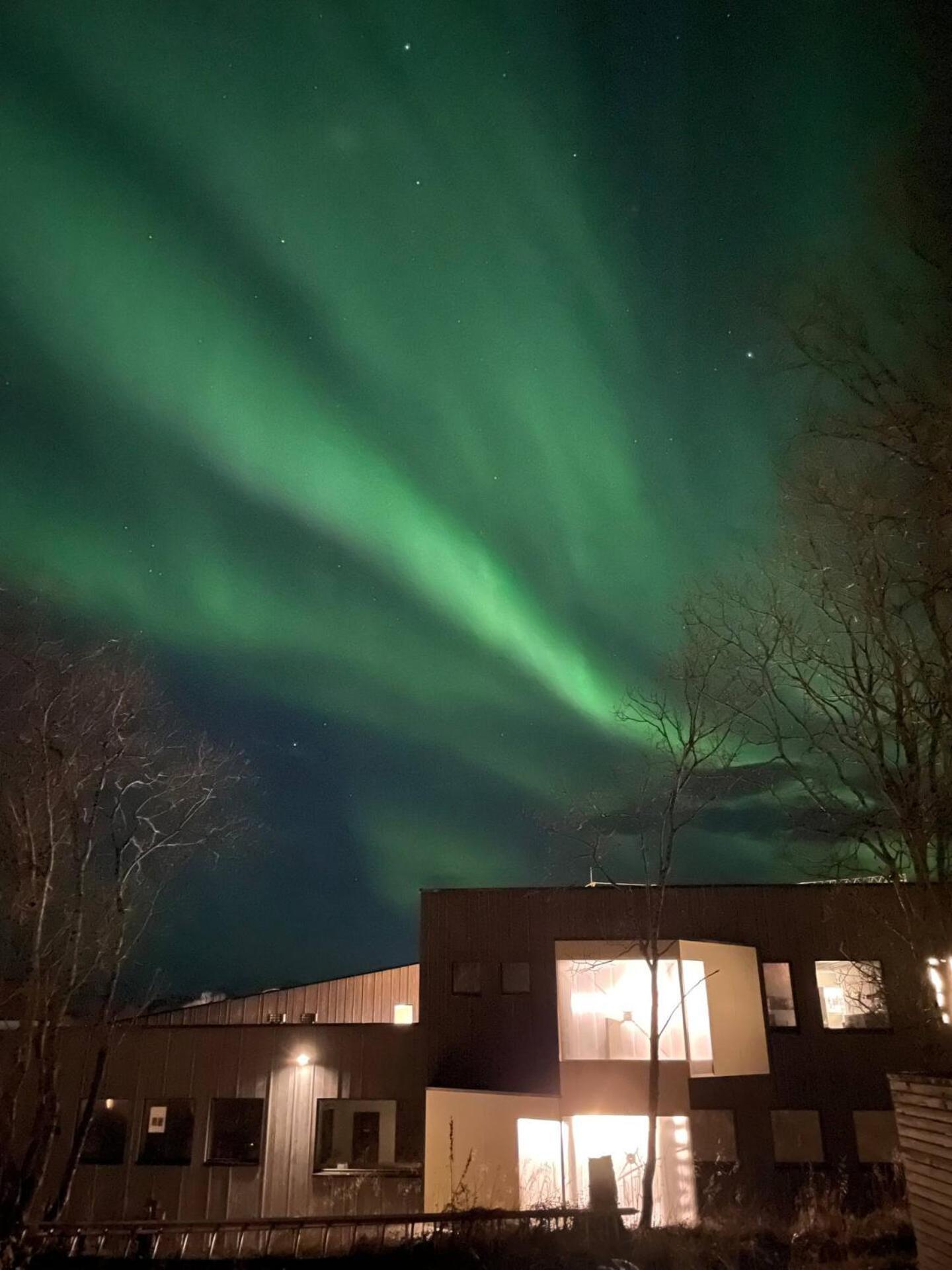 Aurora Polaris Apartment - 750M From Citycenter - Free Parking Tromsø Esterno foto